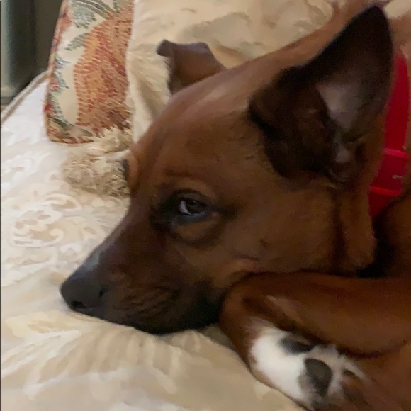 Meet your Posher, Emily - Picture 1 of 1